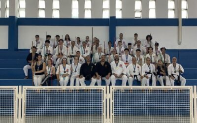 2ª Clínica de Introdução ao Okinawa Kobudo em Santos