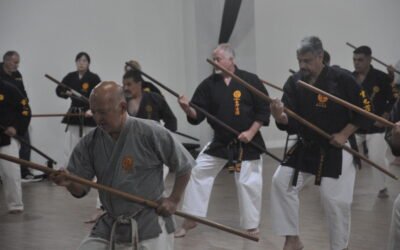 Treino internacional de Okinawa Kobudo reúne mestres no Hotel Nikkey Palace, em São Paulo